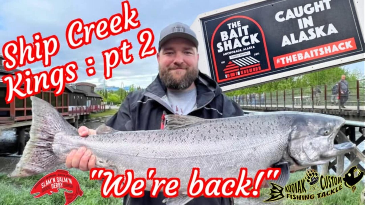 Ship Creek Kings : pt2 On the derby board & Slamin Salmon! "we're back!"