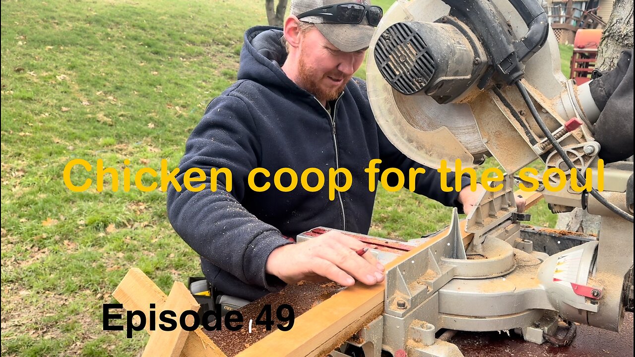 Coops and Critters!!