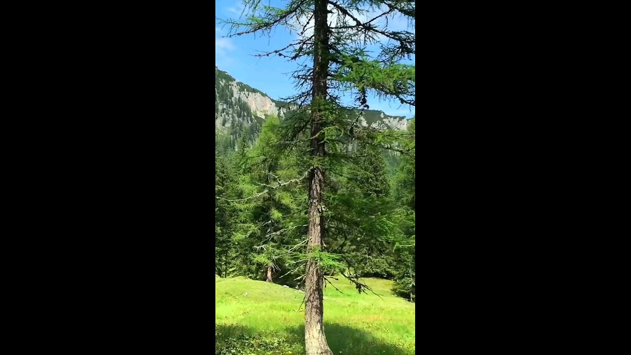 The most beautiful nature