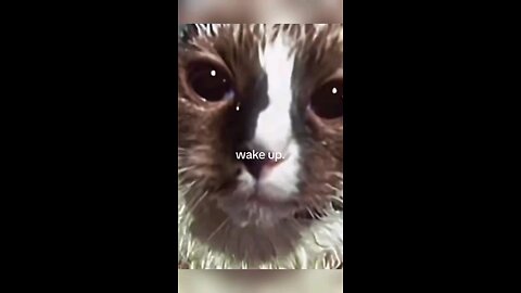 Wake Up