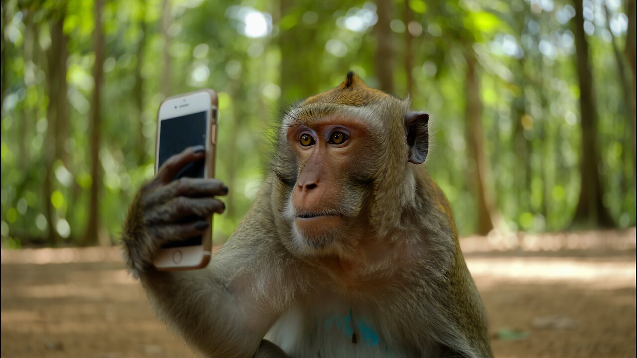 Monkey_Vlog_AI_Video_Kaise_Banaye_100%_Free_Real_AI_Animal_V
