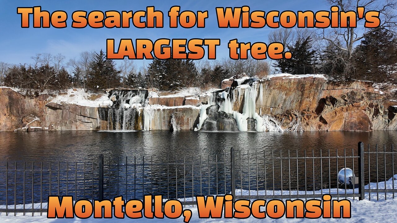 The Search for Wisconsin's LARGEST Tree! Montello, Wisconsin