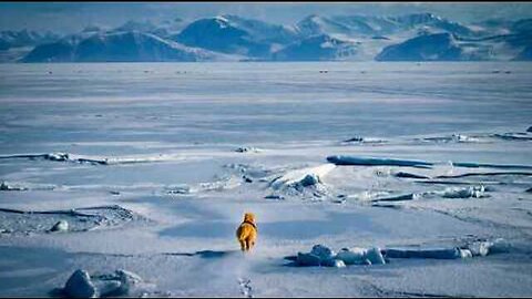 The Loneliest Horse on Earth (Documentary)