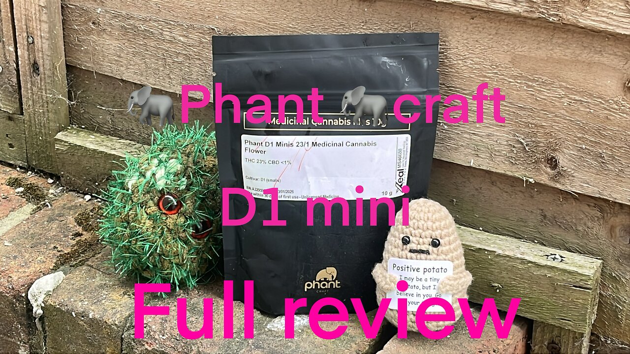 Phant craft d1 full review