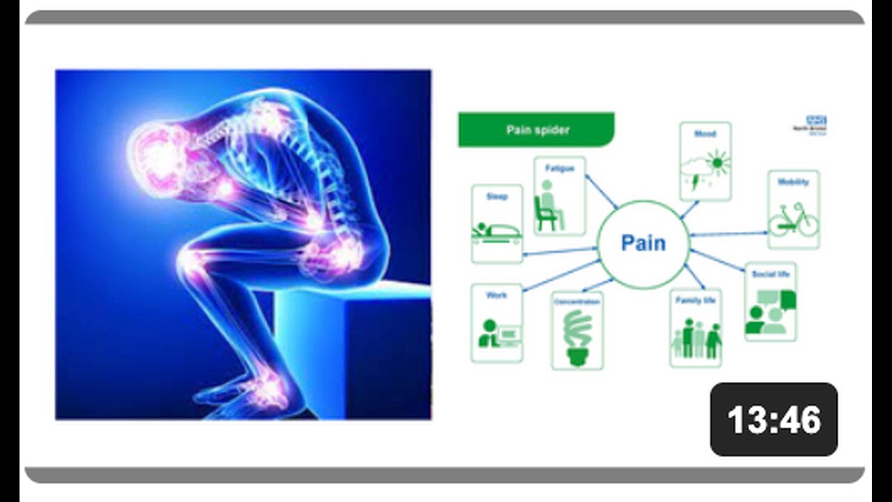 The Natural Pain Killer - PEA (Palmitoylethanolamide)