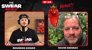 TSW: Ep 102 | Guest: David of Bean’s Hot Sauce | Hot or Not: Fxcking Hot Sauces