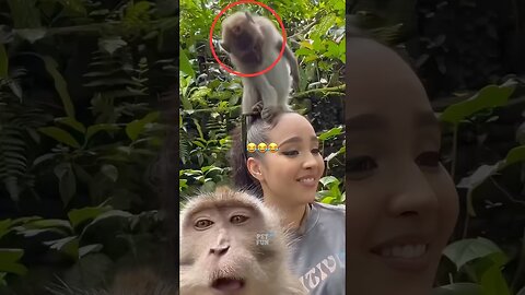 Animals Funny Compilation #funnyanimals #animals #pets #shorts