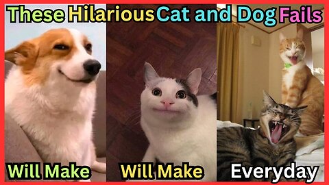 These Hilarious Cat and Dog Fails Will Make You Laugh