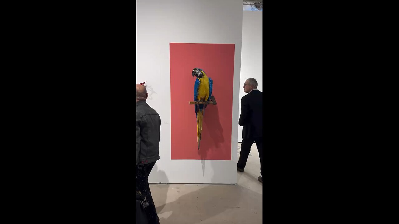 Thomas Deininger creates mesmerizing art pieces