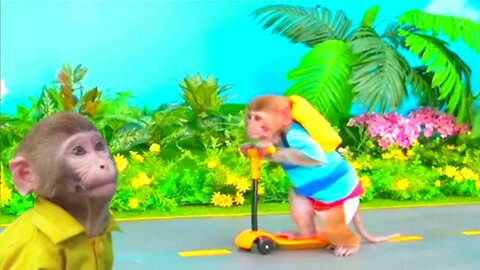 Animalht bonmonkeykiki video drive Funny monument animal