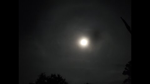 not because I said so 🐇