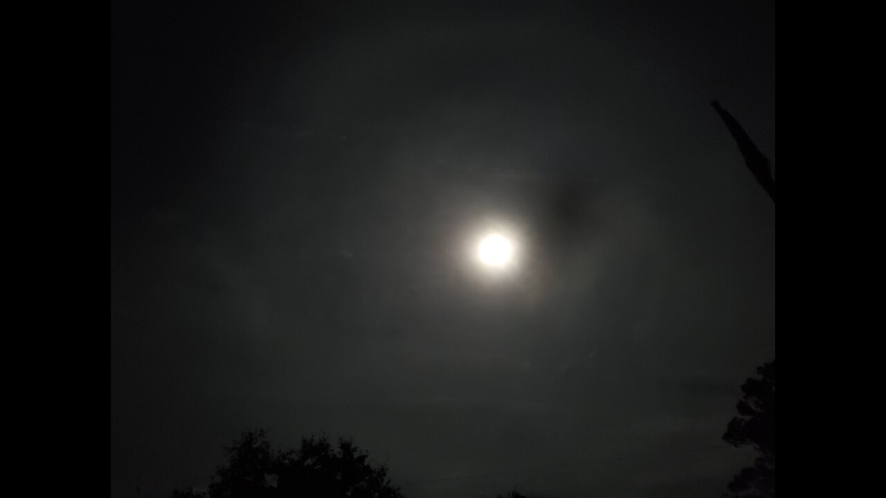 not because I said so 🐇