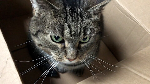 January 21, 2023 - It's the Simple Things