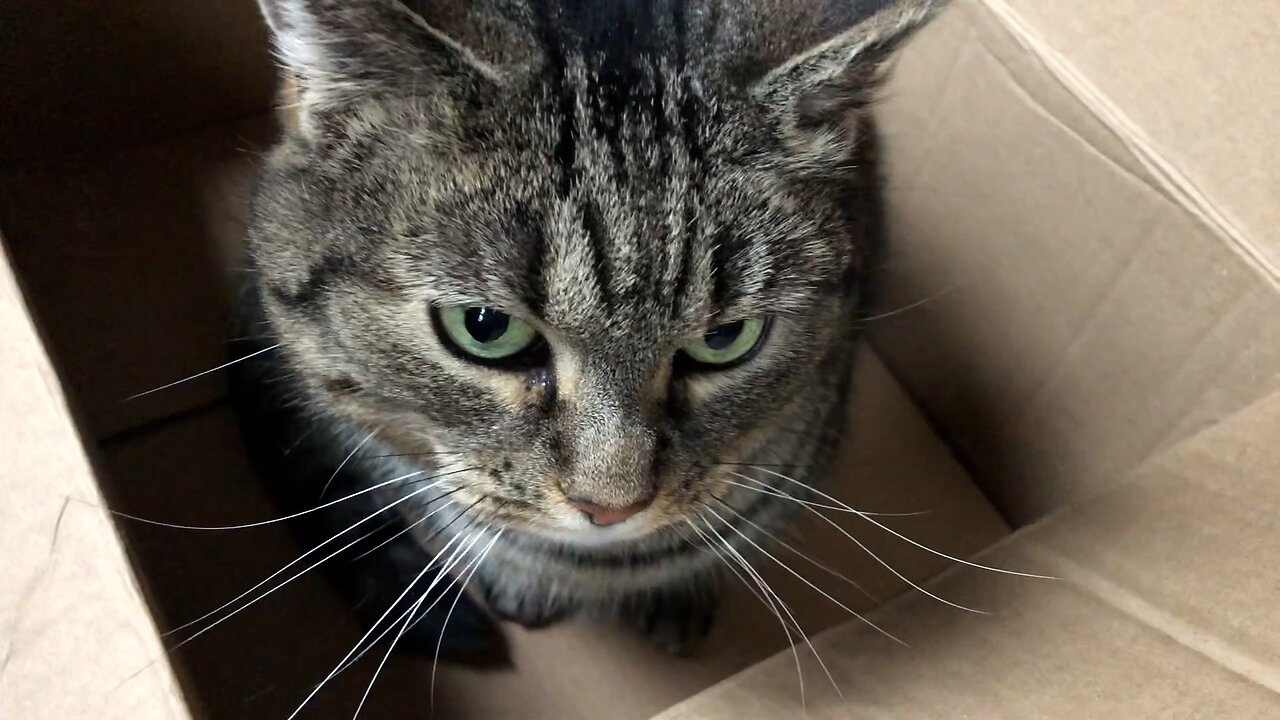 January 21, 2023 - It's the Simple Things