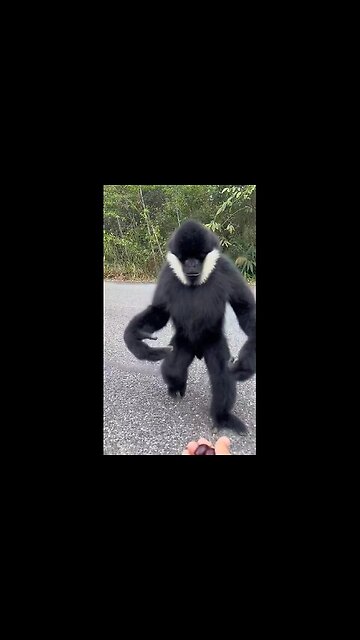 What do you have for me 😎