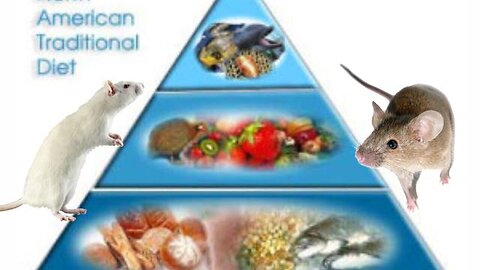 "Unlocking the Role of Mice in Shaping the North American Dietary Habits"