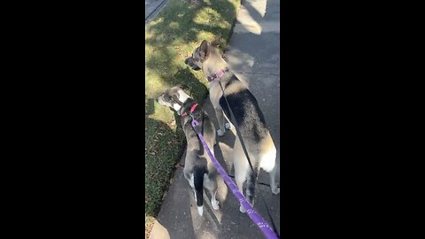 I don’t give a damn about my reputation