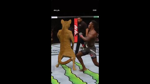Best Finishh🥊