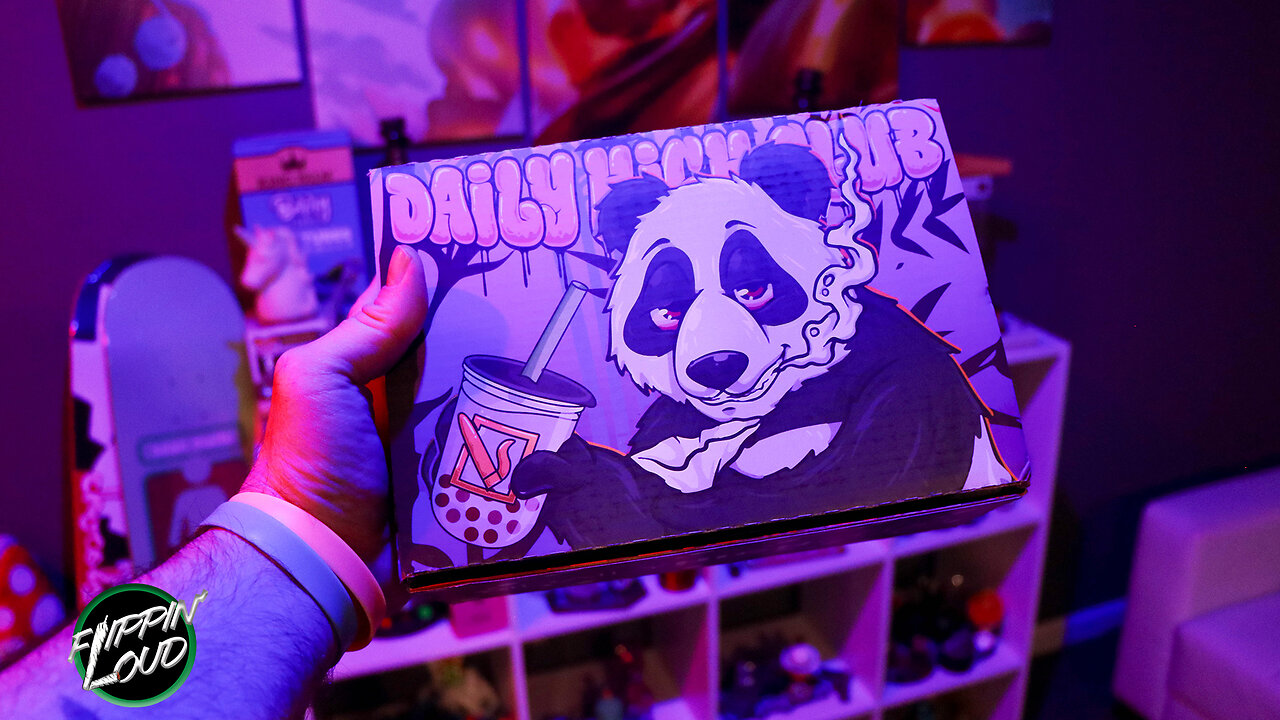 PANDA! 🐼