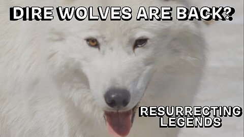 Reviving the Dire Wolf: Science or Science Fiction?
