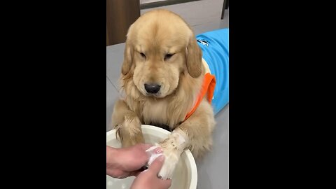 Thank you very much for cleaning me up.🐕😍