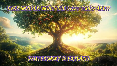 Ever Wonder What The Best Foods Are?