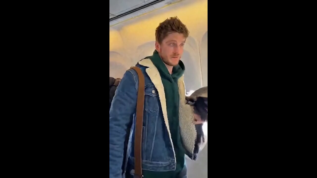 Emotional support honey badger