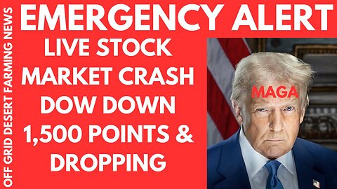 Emergency ALERT! Live Stock Market Crash ! Dow Jones Down 1,500 Points & Dropping!!