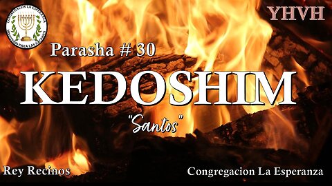 Parasha #30 Kedoshim