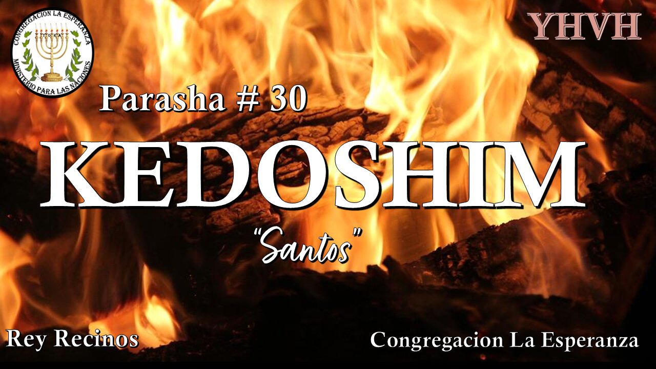 Parasha #30 Kedoshim