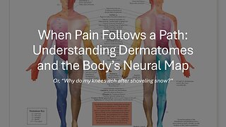 When Pain Follows a Path: Understanding Dermatomes & the Body’s Neural Map