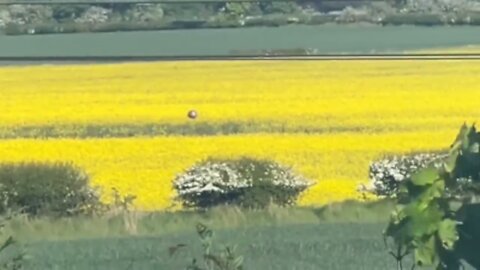 Metallic Orb Rotates on Video near Holland