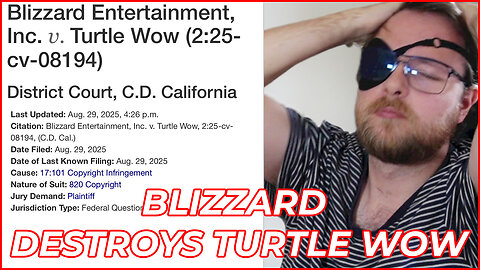 Blizzard DESTROYS Turtle WoW! WoW Private Server Lawsuit Incoming |Wretic News