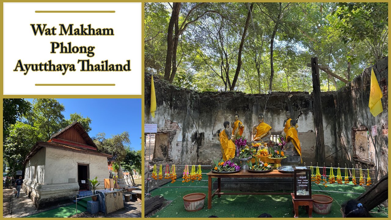 Wat Makham Phlong - Unique Eight Unalom Guardian Stones - Ayutthaya Thailand 2025