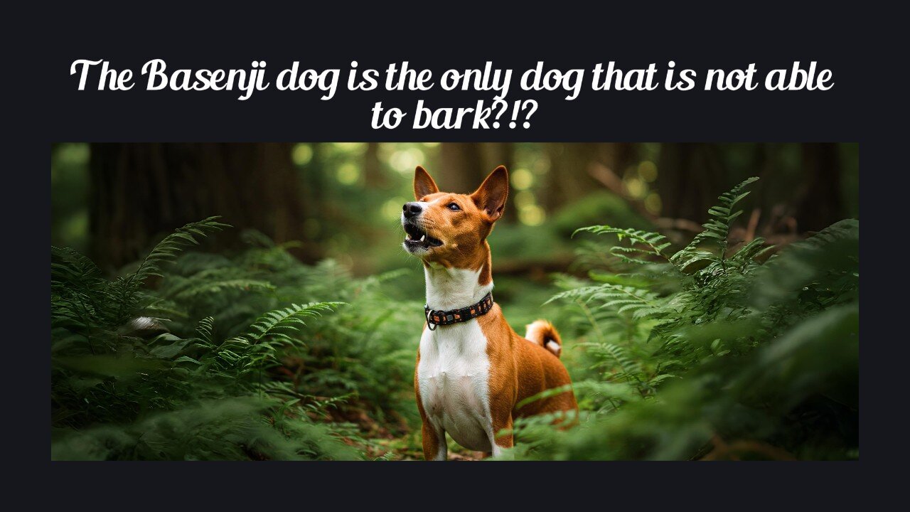 Fun Fact for Apr 14th 2025 Pt 2