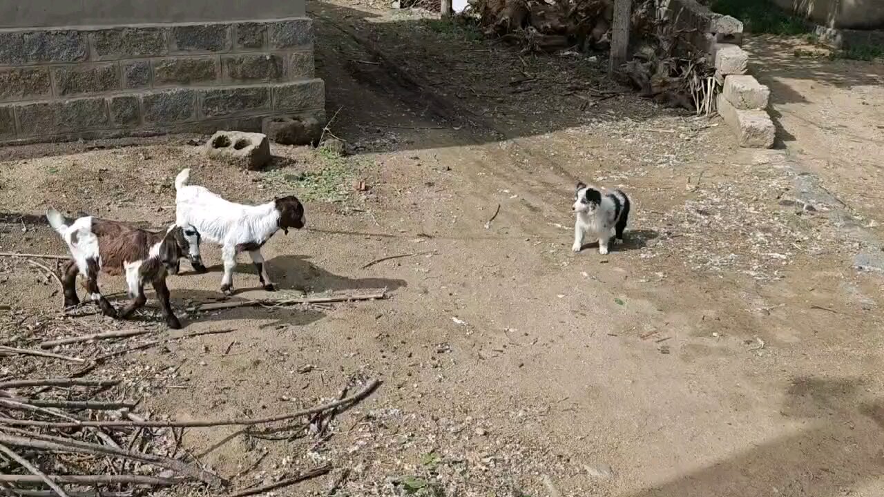 🤣🤣🤣
