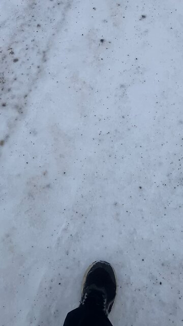 my 2011 F150 XTR 5.0L V8 #shorts