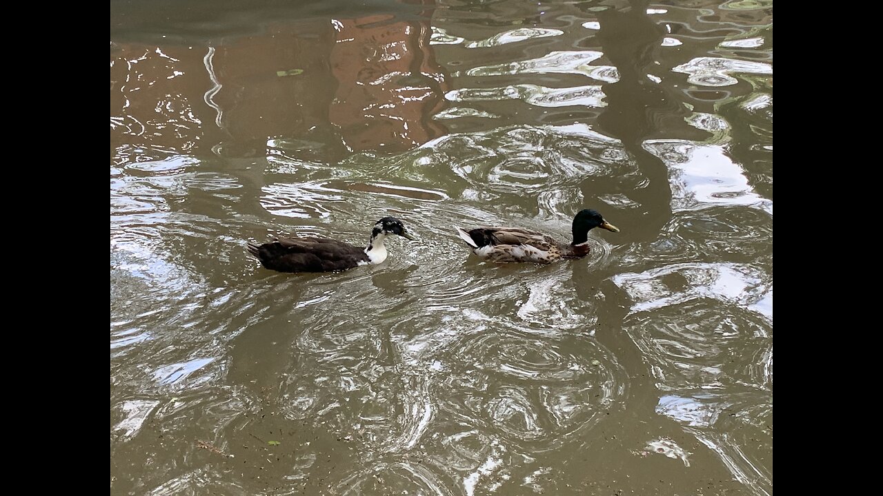 Update from San Antonio