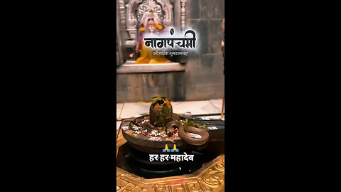 नाग पंचमी की सभी को शुभकामनाएं