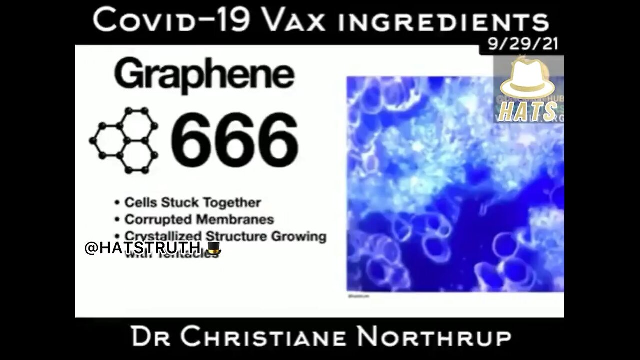 COVID 19 Vaccine Ingredients
