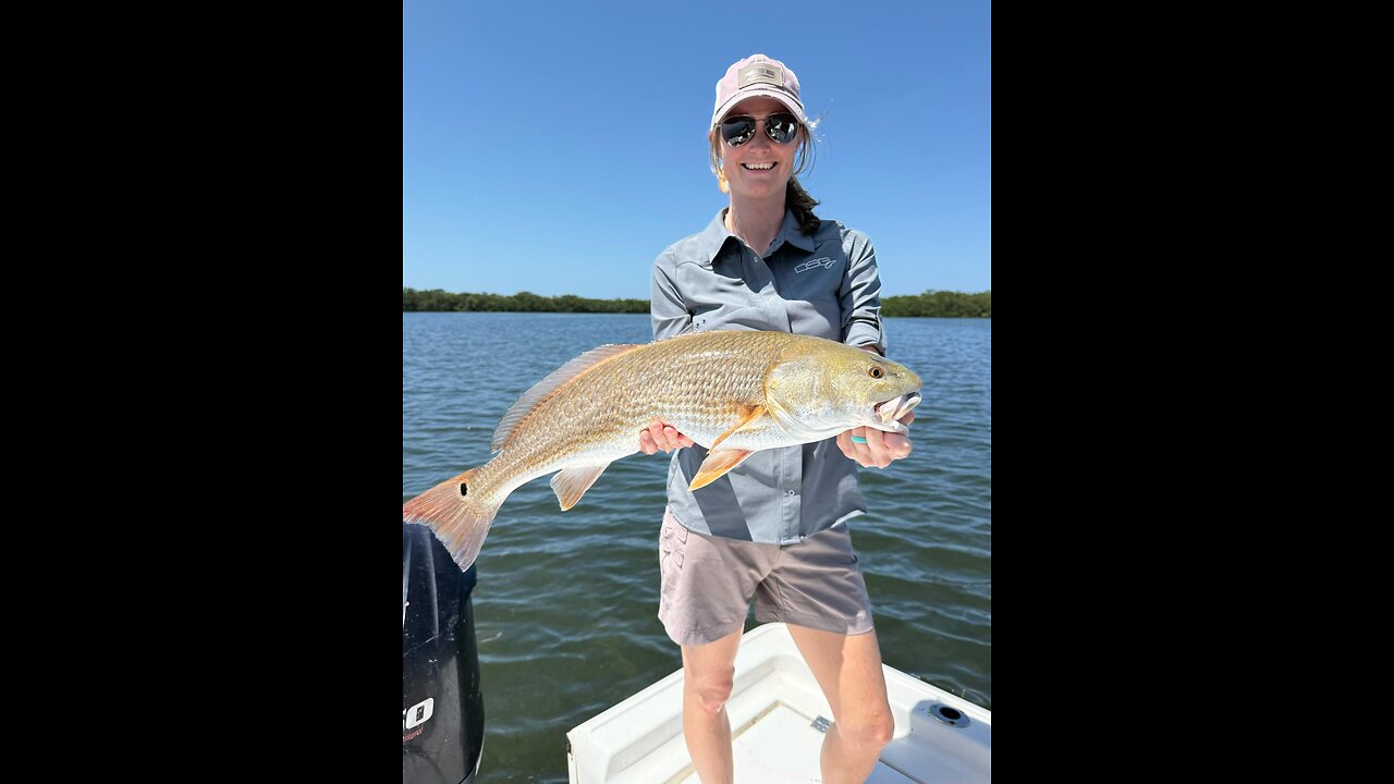 Florida West Coast Fishing Report