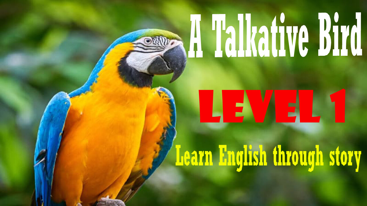A Talkative Bird 🍀 level 1 🍀 Learn English through story 🍀