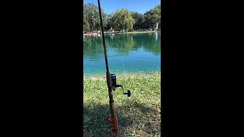 Elk Grove Park Pond