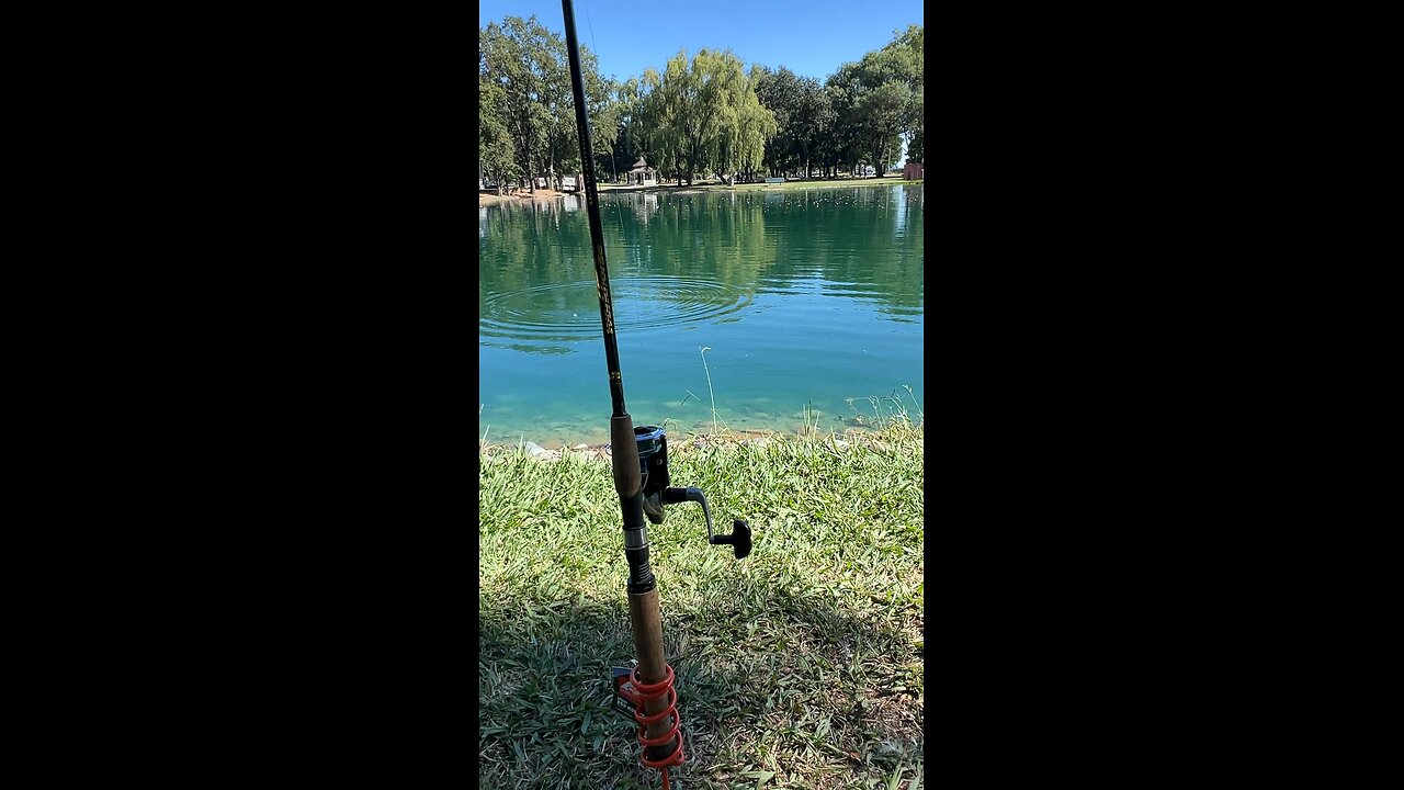 Elk Grove Park Pond