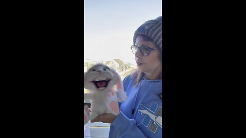 Dog Vacation?