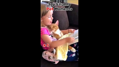 Top 5 Funny Pet Moments 😂 pt.3 #shorts