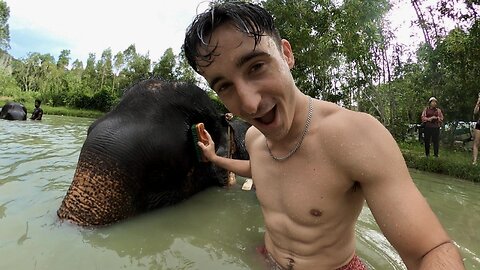 Muay Thai and bathing with Elephants in Phuket