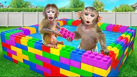 KiKi Monkey has fun in the Colorful Lego Swimming Pool with Naughty Baby