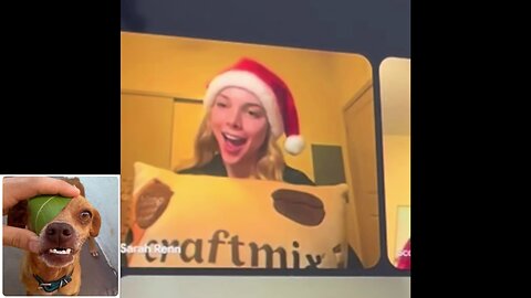 Funny videos compilation 30