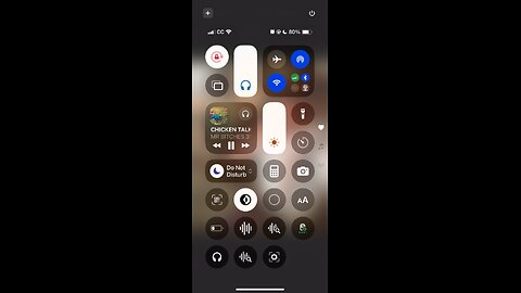CHICKEN TALK AUDIO